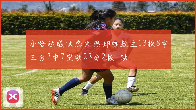 小哈达威状态火热却难救主13投8中三分7中7空砍23分2板1助