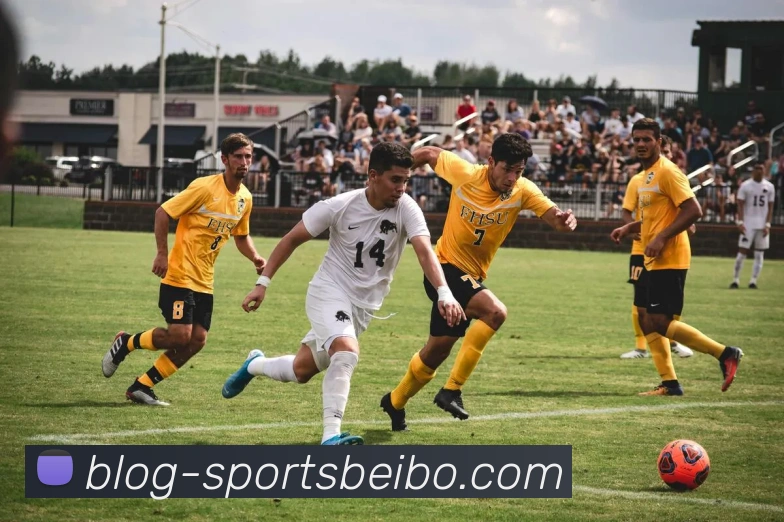 贝博体育APP 高清赛事图